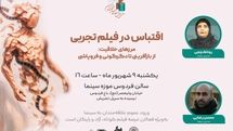 پیش‌نشست «اقتباس در فیلم تجربی» برگزار می‌شود