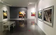 نمایشگاه نقاشی آتش شاه کرمی در گالری ویستا