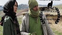 ‘Kejal’ wins NETPAC award at Estonia’s Tallinn Black Nights Filmfest.