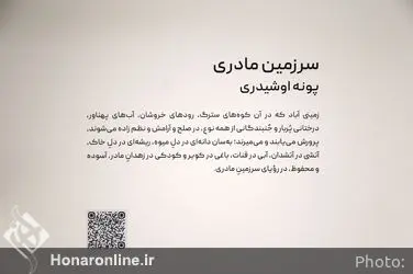 نمایشگاه آثار پونه اوشیدری در گالری باوان