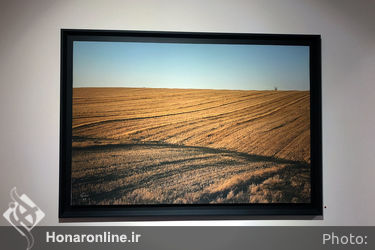 نمایشگاه آثار داوود امیری در گالری ثالث