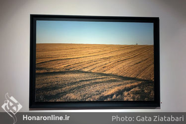 نمایشگاه آثار داوود امیری در گالری ثالث