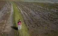 رونمایی مستند 