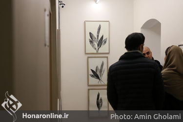 نمایشگاه آثار فرناز ربیعی‌جاه در گالری این جا