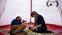 جایزه آمریکایی‌ برای فیلم 
