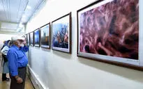 افتتاح نمایشگاه گروهی عکس در خانه عکاسان جوان