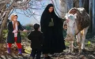 بازدید مدیر شبکه دو  از