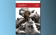 همراهی مخاطب با ریتم یک رمان خوش‌خوان / یادداشتی بر کتاب 