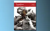 همراهی مخاطب با ریتم یک رمان خوش‌خوان / یادداشتی بر کتاب 