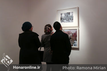 نمایشگاه نقاشی پونه اوشیدری در گالری هما