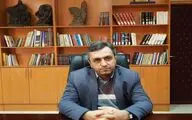  خمسه‌ نظامی در انواع هنر ایرانی به جلوه درآمده است