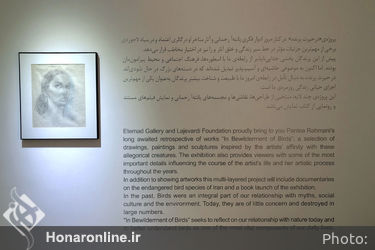 نمایشگاه آثار پانته‌آ رحمانی در گالری اعتماد