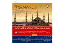 برگزاری نشست آنلاین توسعه فضاهای فرهنگی در ترکیه