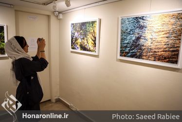 نمایشگاه عکس محمد صادق نیک‌نهاد در گالری گلستان