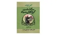 She Is the Darkness Comes to Iranian Bookstores