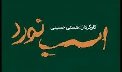 «اسب نورد» ۸ تیر به تالار قشقایی می رسد