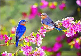 این شعرهای کهن، این روزهای نو