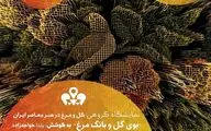 What’s in Tehran art galleries / From  “Heart-led Awareness” to “Strangers” 
