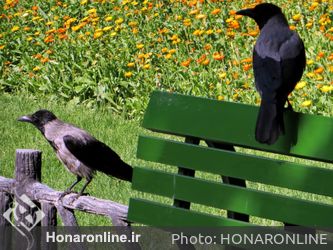 مبلمان شهری راویان خاموش