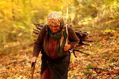 Iran’s Beloved Wins NETPAC Award at Ulju Mountain Film Festival