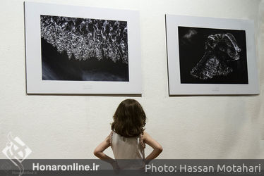 آئین افتتاحیه نمایشگاه عکاسی داریوش محمدخانی در فرهنگسرای نیاوران