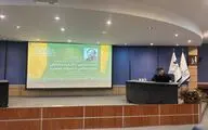 رحمت امینی: نخستین مواجهه جدی غرب با نمایش شرق عمدتاً از مسیر ژاپن شکل گرفت