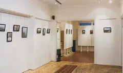 نقاشی‌های «سیمین یاوری» در گالری «زرنا» روی دیوار رفت
