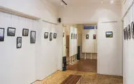 نقاشی‌های «سیمین یاوری» در گالری «زرنا» روی دیوار رفت