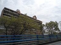 یادداشت / عاریه‌نشینی ایدئولوژیک