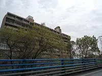 یادداشت / عاریه‌نشینی ایدئولوژیک