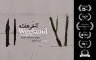 فیلم کوتاه 