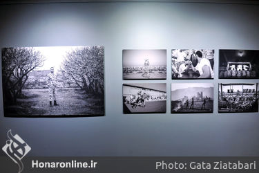 بخش طوبای زرین در دوازدهمین جشنواره هنرهای تجسمی فجر / عکاسی، گرافیک، کاریکاتور