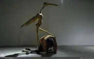 منتخبی از آثار گالری 