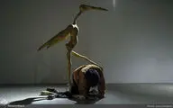 منتخبی از آثار گالری 
