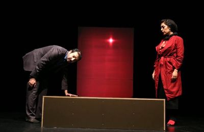 Director merges plays by Tennessee Williams and Persian writer to stage “extraordinary performance”