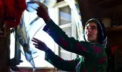 اکران آنلاین «اتاقک گلی» از اول مهرماه