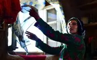 اکران آنلاین «اتاقک گلی» از اول مهرماه