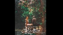 سارا بهرامی در روایتی از «جنگل پرتقال» ‌| رونمایی از پوستر