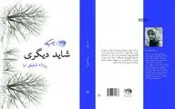 رمان 