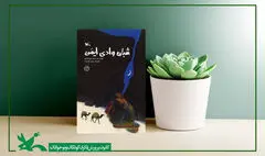 شمارگان داستان زندگی اویس قرنی به ۴۰هزار نسخه رسید
