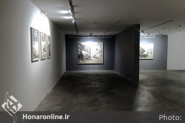 نمایشگاه آثار پیام قلیچی در گالری باوان