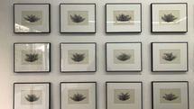 O Gallery Hosting Mohammad Hassanzadeh Painting Exhibition