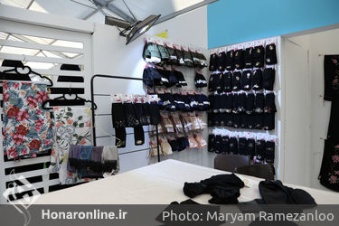 نمایشگاه " گوهر زیبایی" در بوستان آب و آتش