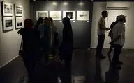 در امتداد زیبایی‌شناسی کیارستمی تا ویدئوهایی که گیاهان را ارج می‌نهند /گالری‌گردی هنرآنلاین در سه نمایشگاه