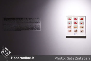 بازدید از "نمایشگاه ارمغان" و "عکس مفهومی" در موزه هنرهای معاصر 