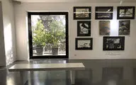 نمایشگاه آثار سروناز علم‌بیگی در گالری اعتماد