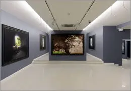 استقبال از آثار گران‌ترین عکاس خاورمیانه / سمیع‌آذر: کیارستمی در "درها و یادها" هنر را به چالش می‌کشد