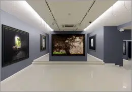 استقبال از آثار گران‌ترین عکاس خاورمیانه / سمیع‌آذر: کیارستمی در "درها و یادها" هنر را به چالش می‌کشد