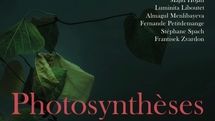 Works by Iranian photographers on view at European Art Exchanges exhibit