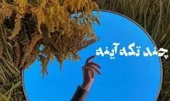 آثار دیده نشده ۲۰ سینماگر در خانه هنرمندان/از کیمیایی تا کیانیان